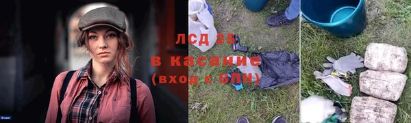 СК Нея