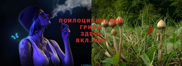 кокаин Новозыбков