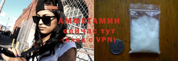 сатива Нефтекумск