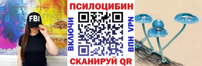 Псилоцибиновые грибы GOLDEN TEACHER Кадников