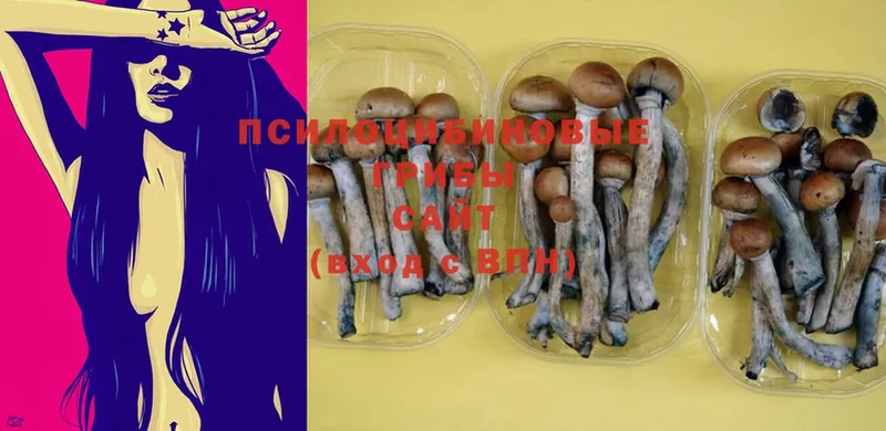 сайты даркнета официальный сайт  Кадников  Галлюциногенные грибы MAGIC MUSHROOMS  магазин продажи  