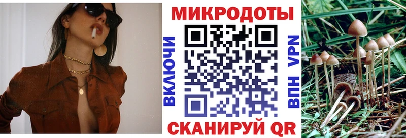 Псилоцибиновые грибы мицелий  маркетплейс какой сайт  Кадников  блэк спрут зеркало 
